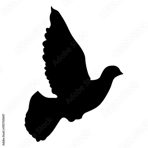 Dove flying sequence