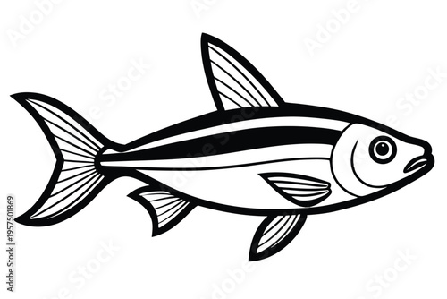 neon tetra silhouette line art vector illustration