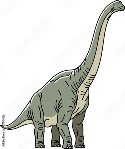 Sauropod dinosaur with long neck standing isolated vector illustration