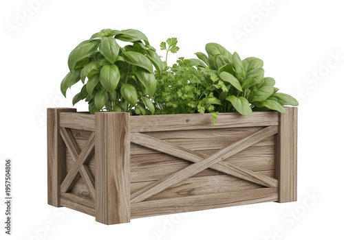 Fresh green herbs growing in a decorative rustic wooden planter box for kitchen gardening decor