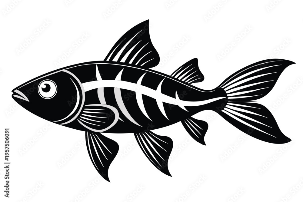 Fototapeta premium molly fish silhouette line art vector illustration