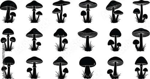 Mushroom silhouettes set, forest fungi collection, nature plant icons, wild toadstool shapes, botanical illustration elements, black silhouette clipart pack
