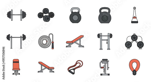Collection of various gym and fitness equipment for strength training.