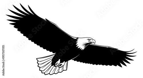 American bald eagle flying through the air with outstretched wings and white head