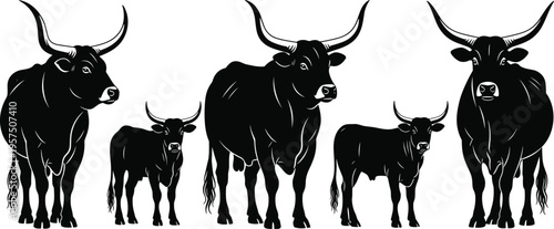 Black and White Silhouette Illustration of Ankole-Watusi Cattle Family with Long Horns Isolated on White Background for Farm Branding