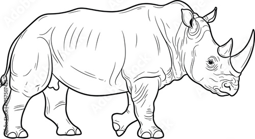 Black and white rhinoceros line art vector illustration for wildlife conservation safari theme animal mascot design African nature coloring book and zoo projects.