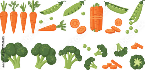 Fresh Garden Vegetable Vector Set Featuring Bundled Carrots Broccoli Florets and Green Pea Pods with Sliced and Chopped Pieces for Healthy Cooking Illustrations