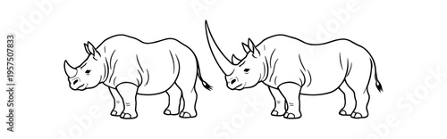Rhino pair outline line detailed drawing two animals flat vector illustration