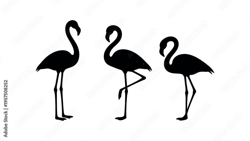 Obraz premium Three standing flamingo silhouettes in black with varied leg poses