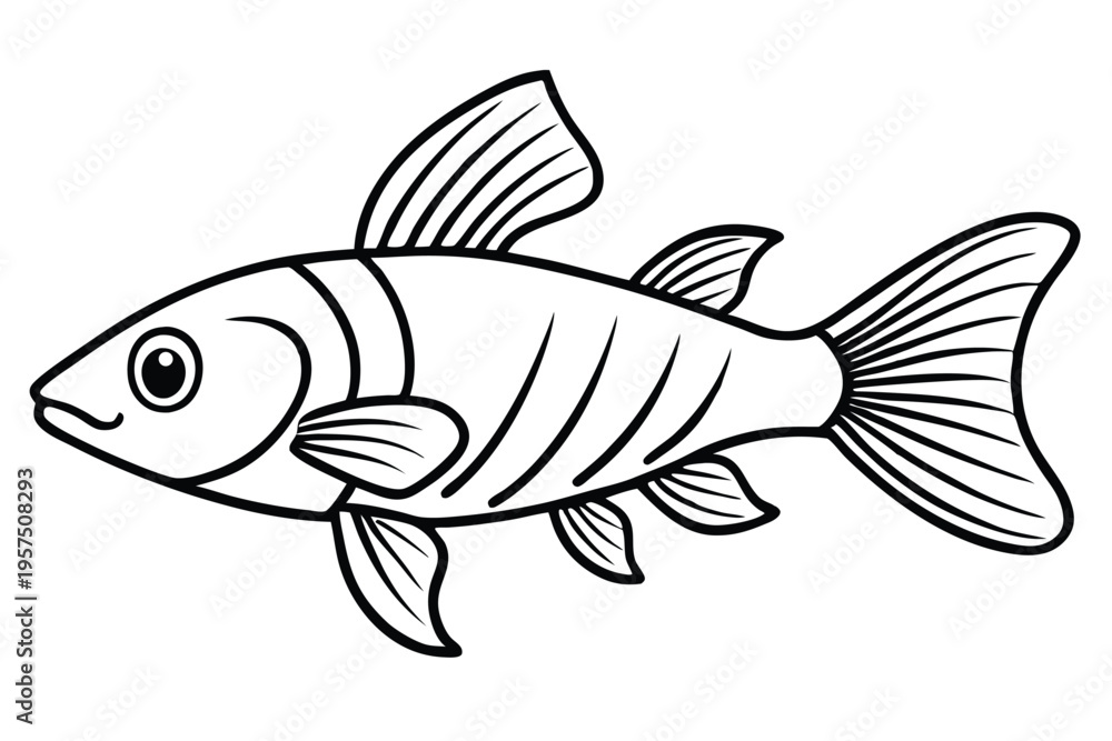 Fototapeta premium molly fish silhouette line art vector illustration