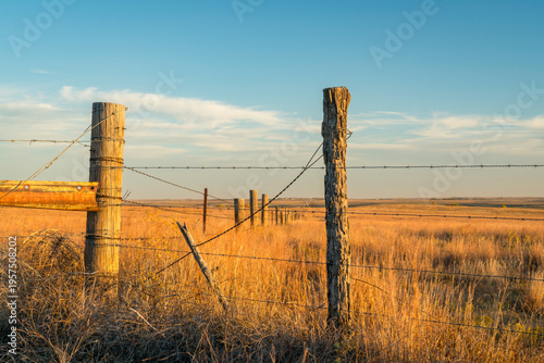 Obraz na płótnie barbed wire fence with wooden posts on Kansas prairie near Castle Rock
