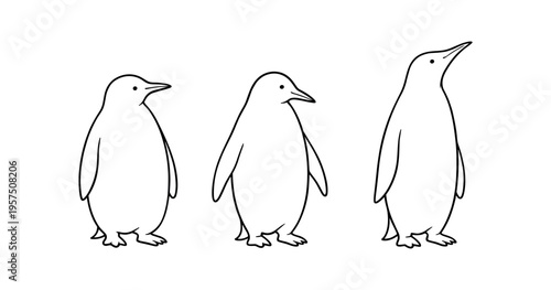 Three simple black outline penguin drawings showing slight size and pose variations on white background