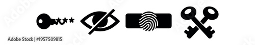 Key, privacy and biometric security symbol flat vector icon