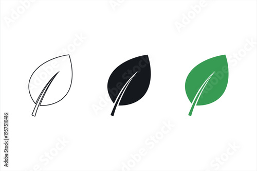 Nature Leaf Icons Collection