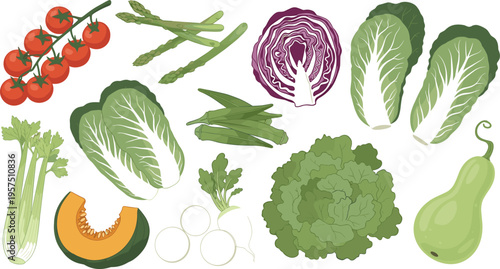 Fresh Vegetable Collection Featuring Hand Drawn Lettuce Bok Choy Asparagus Red Cabbage Pumpkin and Tomatoes for Healthy Diet Recipes Organic Farming and Vegan Food Designs