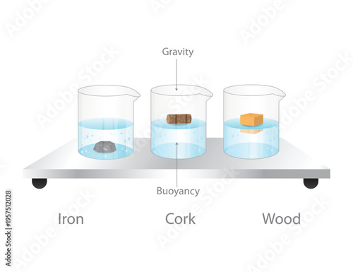 Buoyancy and Gravity Comparison Diagram with Iron Cork and Wood in Water Demonstrating Floating and Sinking.