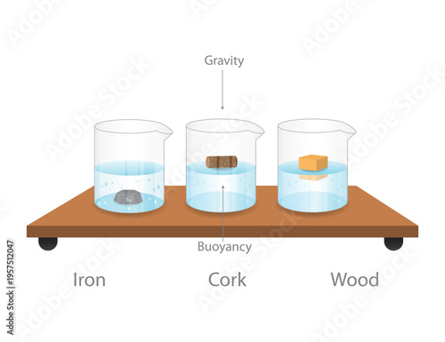 Buoyancy and Gravity Physics Illustration with Iron Cork and Wood Floating and Sinking in Water Beakers on Table.