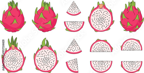 Large Set of Pink Dragon Fruit Pitaya Vector Illustrations Featuring Whole Fruit, Cross Section Halves, and Sliced Wedges Isolated on White for Tropical Designs