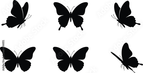 Black silhouettes of butterflies in various flying positions