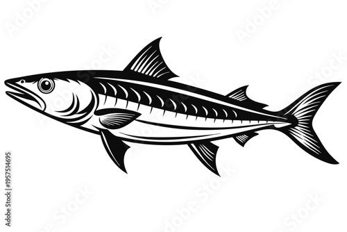 mackerel silhouette line art vector illustration