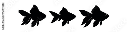 Three black goldfish silhouettes in side view show different tail and fin shapes.