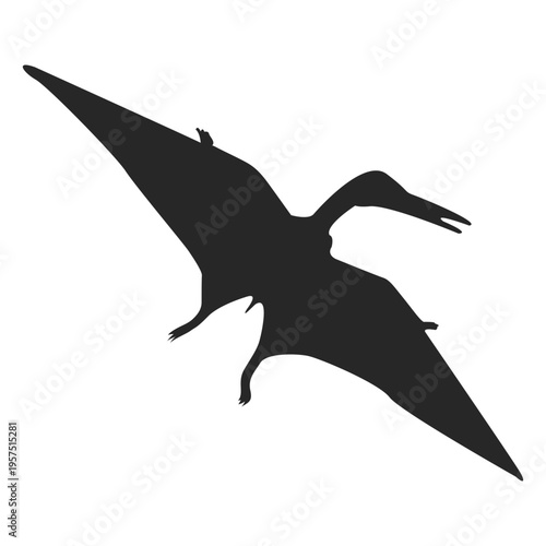 Pterosaur silhouette