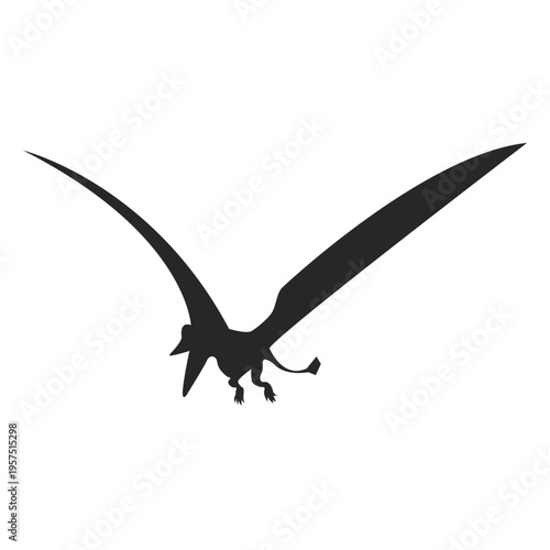 Pterosaur silhouette 1