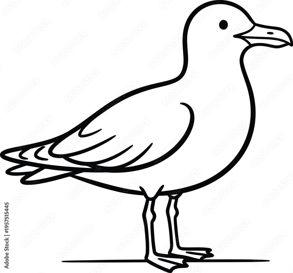 Fototapeta premium Simple line drawing of a seagull standing on the ground