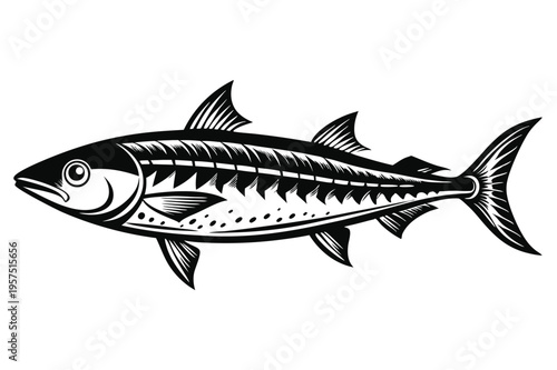 mackerel silhouette line art vector illustration