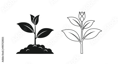 Two black and white illustrations of sprouting plants with leaves