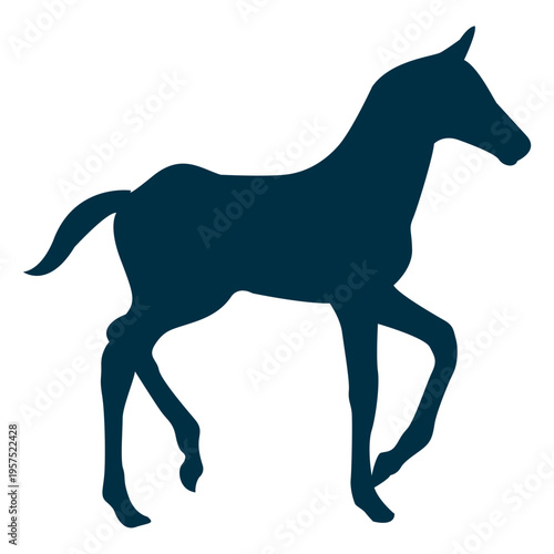 Fotografie Walking horse silhouette