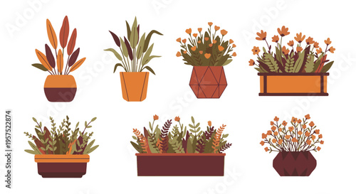 Collection of decorative potted house plants and flowers, autumnal colors