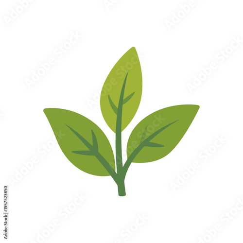 green fresh tea leaves, tea plant, sprig, colorful vector flat style illustration