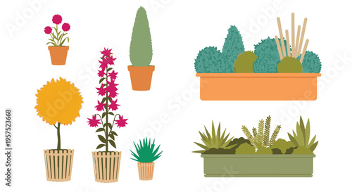 Collection of various potted plants and flowers in flat vector illustration