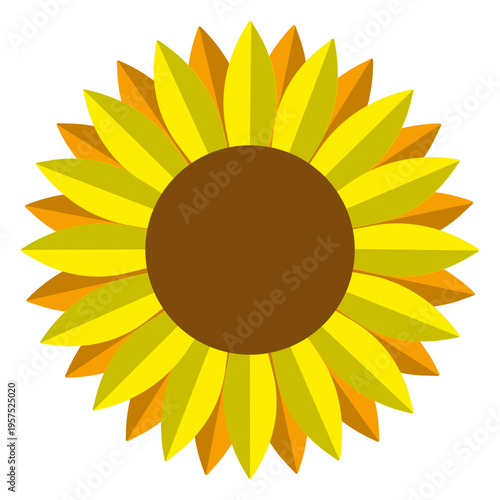 Isolated sunflower head vector graphic
