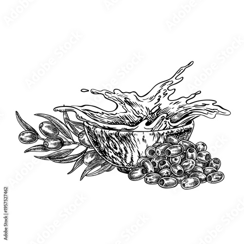 Olive oil. Black and white vector illustration drawn by hand. A splash of oil in a wooden bowl, a handful of olives, and an olive branch. For menus, recipes, cookbooks, packaging, labels, and more.