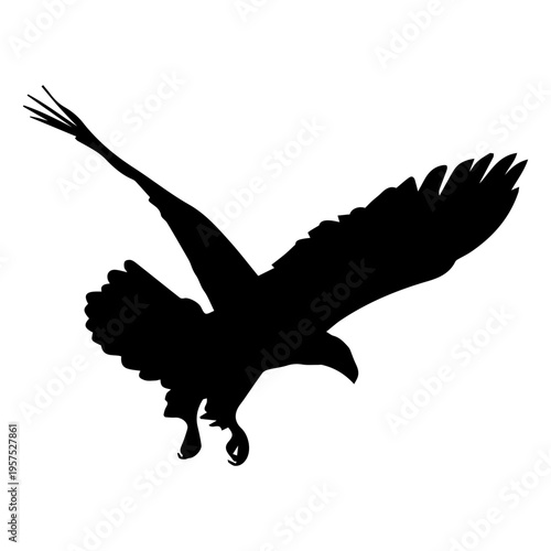 Eagle landing silhouette