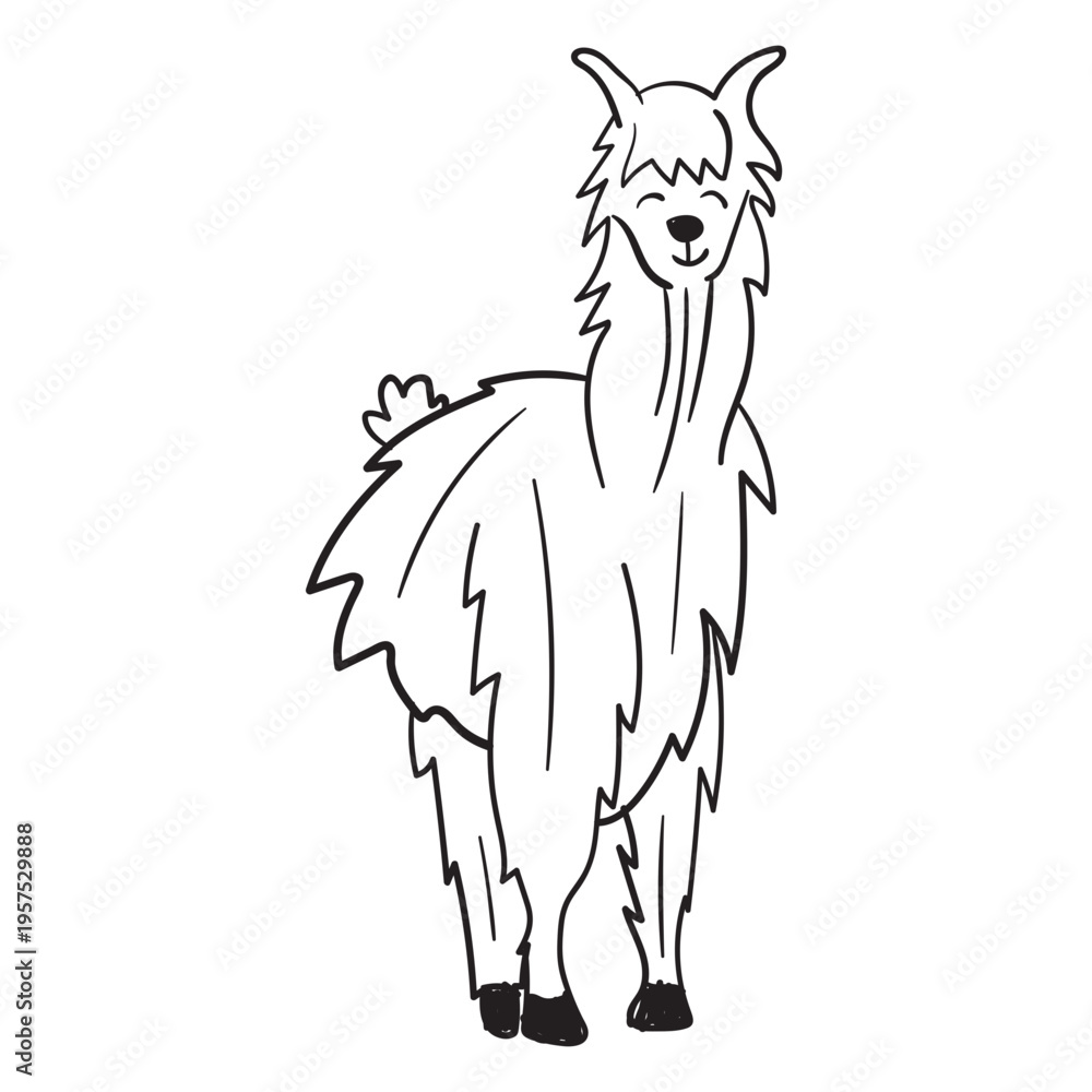 Naklejka premium Llama standing stroke