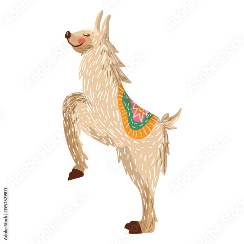 Llama on hind legs illustration