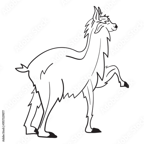 Llama animal stroke