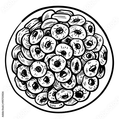 Cereal rings hand drawn