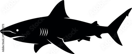 Black silhouette of a shark swimming