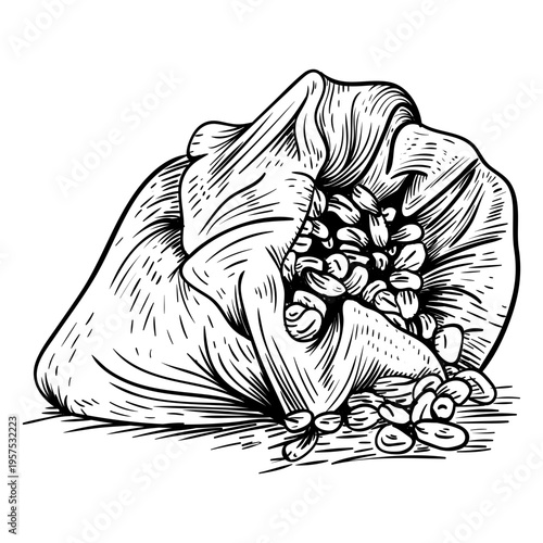 Cocoa beans sack hand drawn
