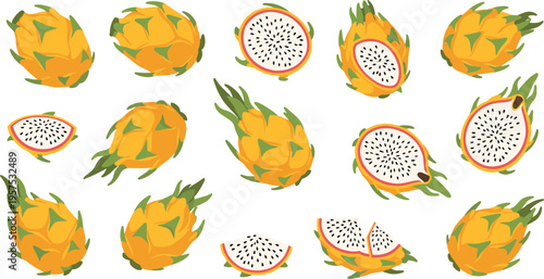 Yellow Dragon Fruit Vector Illustration Set with Whole Spiky Pitaya Halves Slices Wedges and White Flesh Black Seeds for Tropical Exotic Healthy Designs