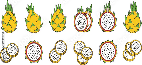 Yellow Dragon Fruit Vector Set with Whole Spiky Pitaya Halves Slices Rounds and White Flesh Black Seeds for Tropical Exotic Healthy Nutrition Designs