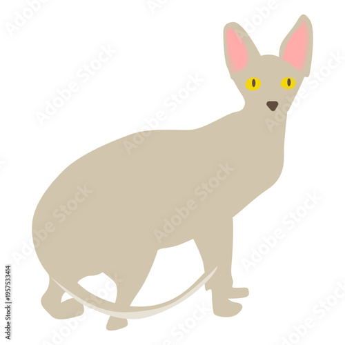 Sphynx cat illustration