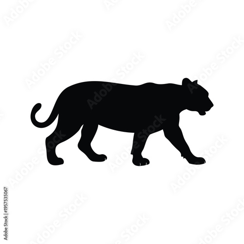 Fotografie Black and white silhouette vector illustration of a walking cat, jaguar prowling