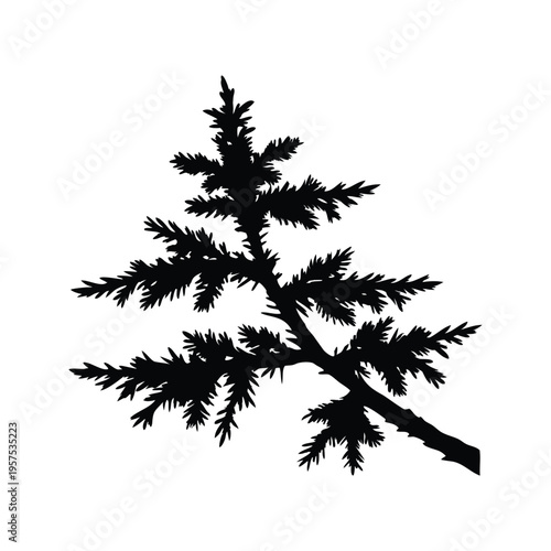 Silhouette of pine tree branches with needles, vector illustration design, larch branch silhouette vector illustration