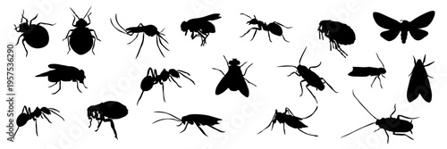 Set of pest insect silhouettes including cockroaches, mosquitoes, flies, ants and other household bugs. Collection of crawling and flying insects isolated on white background. Ideal for pest control