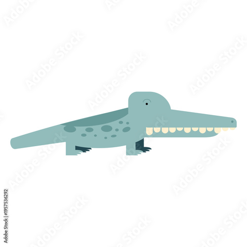 Aligator crocodile illustration